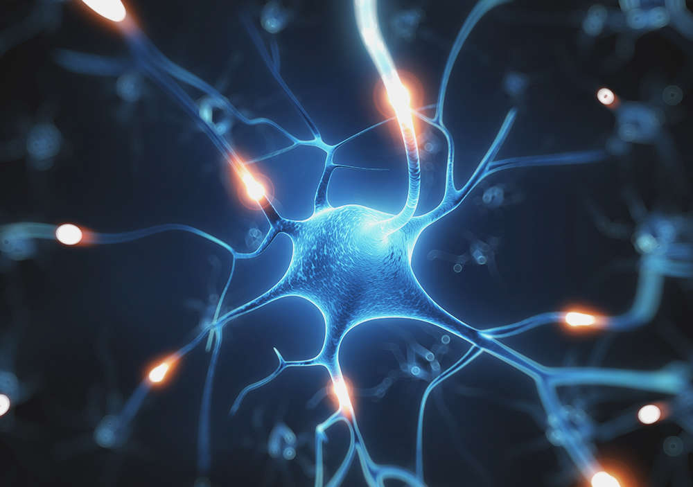 How Play Wires Kids Brains For Social >> Parenting Styles May Rewire Kids Brains How Play Wires Kids Brains For Social >> Parenting Styles May Rewire Kids Brains